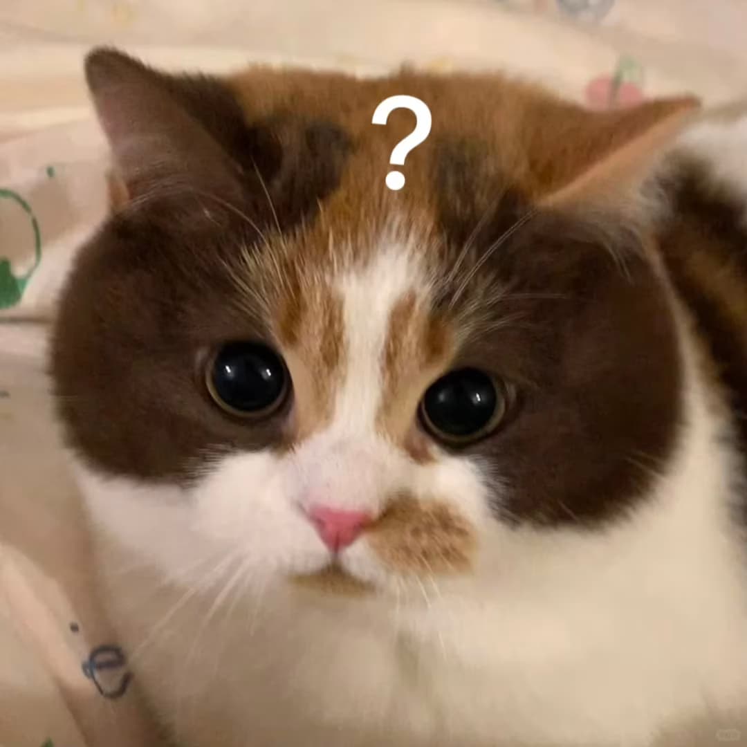 Custom Christmas Sweater 3